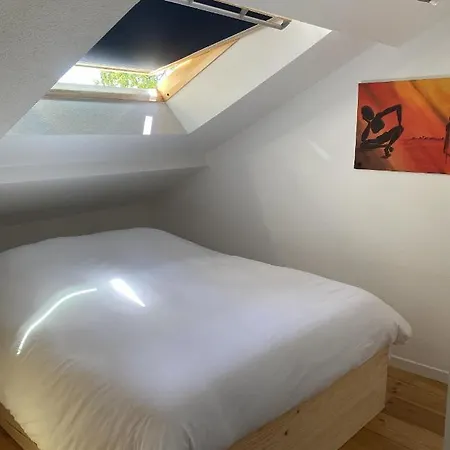 Apartamento T3 duplex6 hyper-centre climatisé Albi Exterior foto
